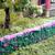 D20174 Живая изгородь с фиолетовыми цветами (длина 300 мм, высота 20 мм, толщина 5 мм)