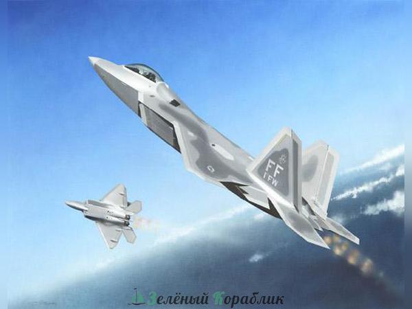 TR01317 Самолёт F-22A "Раптор"