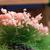 D10357 Пучки травы (декоративные кочки) с цветами чайной розы (ширина 25 мм, высота 15 мм), 5 шт.