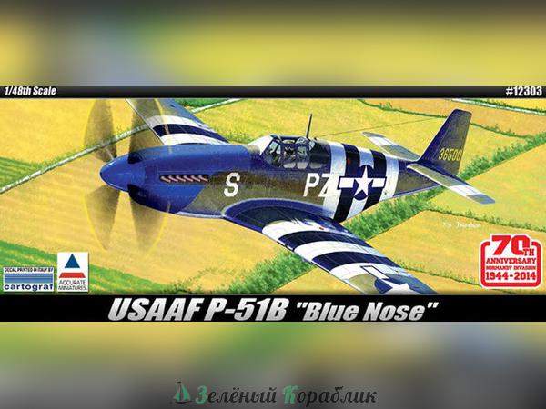 AC12303 Американский самолёт USAAF P-51B "Anniv. 70 Normandy invasion 1944"