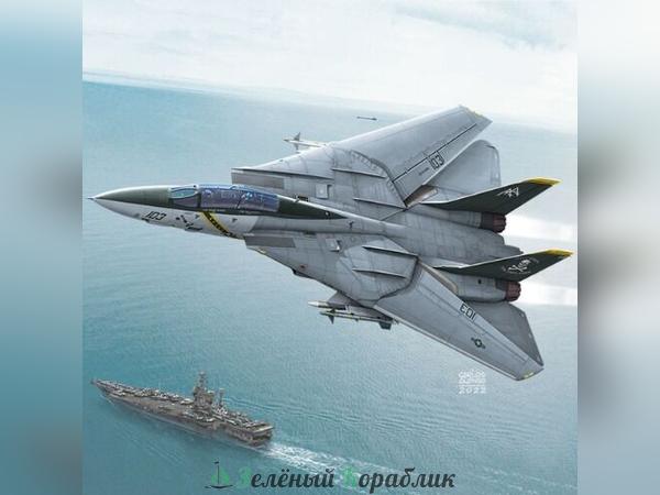 AC12578 U.S. Navy F-14B VF-103 Jolly Rogers