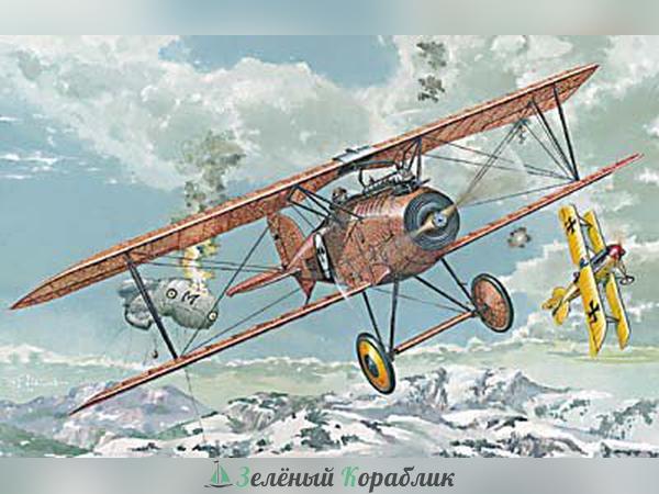 ROD024 Самолет ALBATROS D.III