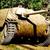 AC13278 Танк HETZER EARLY PRODUCTION