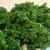 D20093 Комковой фолиаж лиственных деревьев (объём 250 мл)
