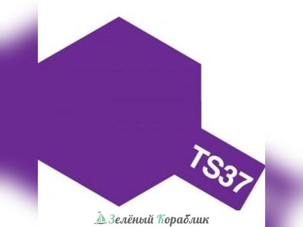 85037 TS-37 Lavender